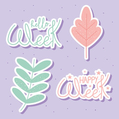 hello week designs and leaves