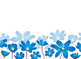 Hepatica flowers card backgrounds. Hand drawn vector illustration