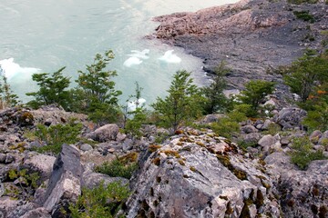 Природа - это окружающий нас мир, не созданный человеком. То, что первично, что появилось задолго до человека. Естественная среда обитания человека. Леса, горы, моря, океаны, флора, фауна, и сам челов