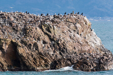 福井県越前海岸のカモメ岩