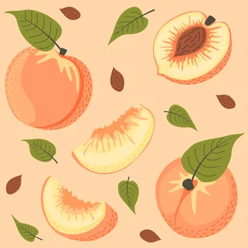 桃 イラスト の画像 79 651 件の Stock 写真 ベクターおよびビデオ Adobe Stock