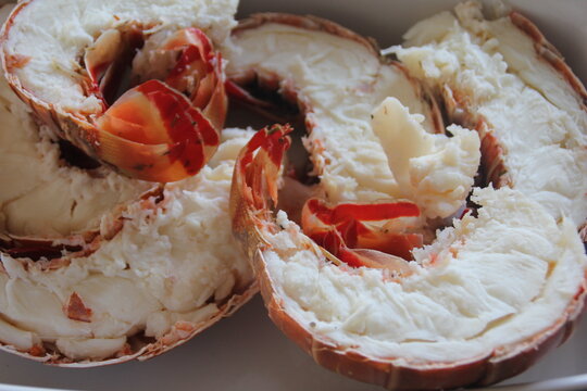 Langoustes cuites