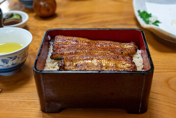 鰻の蒲焼き　鰻重