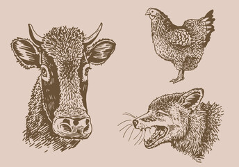 Vector vintage collection of farm animals , rural wildlife elements for design,coloring and printing