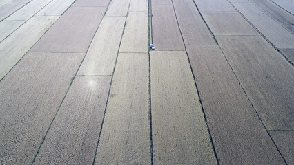 Rice fields, autumn scenery aerial photos, North China