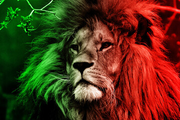 Lew w kolorach zielonym i czerwonym