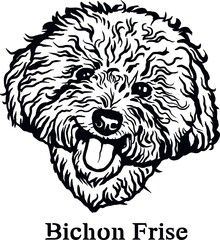 Bichon Frise - Funny Dog, Vector File, Cut Stencil for Tshirt