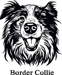 Border Collie - Funny Dog, Vector File, Cut Stencil for Tshirt