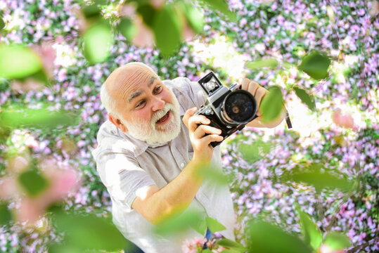 Enjoying every moment. spring season with pink flower. old man watch young plants. photographer man take sakura blossom photo. Cherry blossoming garden. photographer taking photo of apricot bloom