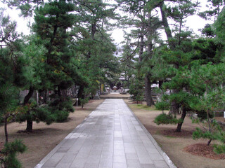 寺の道