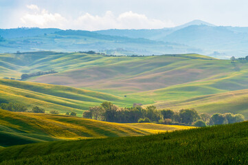 Spring Tuscany. View of the green fields lit by the rays of the sun.