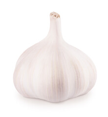 Whole fresh garlic isolated on white background.