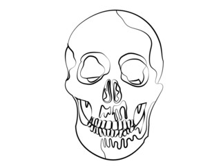 skull in stripes on a white background