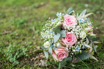 Blumenschönheit