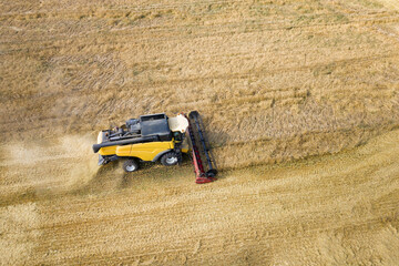 Obraz premium Aerial view of combine harvester harvesting large ripe wheat field. Agriculture from drone view