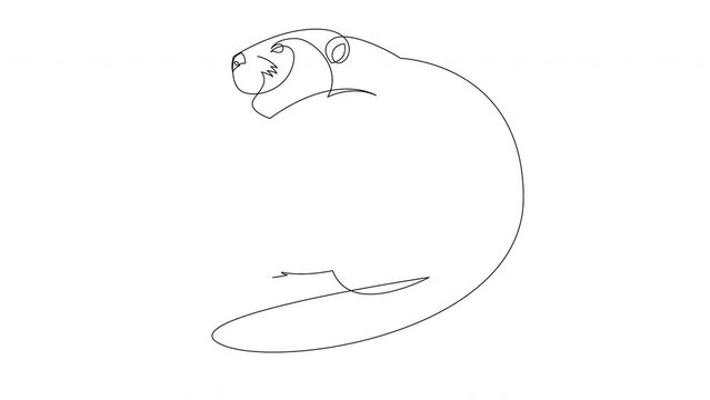Animation of one single line drawing of funny beaver for logo identity. Adorable funny rodent animal mascot concept for pet lover club icon. Continuous line self draw animated. Full length motion.