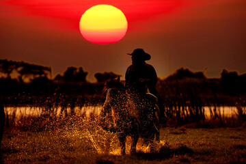 silhouette ofCowboy riding a horse on sunset background