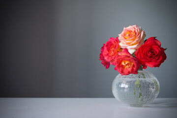 red rose in glass  vase on gray background