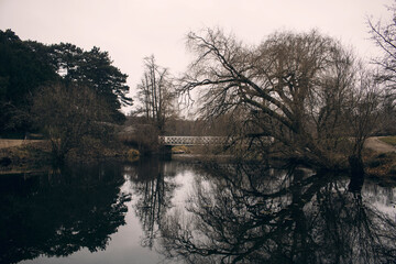 Dark Park in Copenhagen