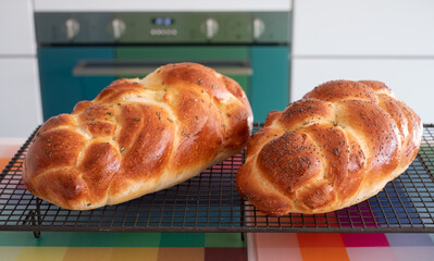 Two traditional home cooked plaited Jewish Challah bread loaves, cooling on a wire tray. One is topped with poppy seeds and the other with rosemary. 