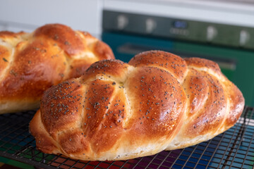Two traditional home cooked plaited Jewish Challah bread loaves, cooling on a wire tray. One is topped with poppy seeds and the other with rosemary. 