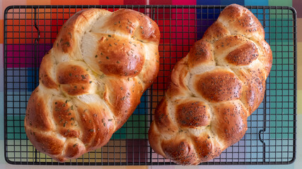 Two traditional home cooked plaited Jewish Challah bread loaves, cooling on a wire tray. One is...