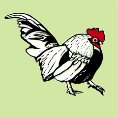 Rooster