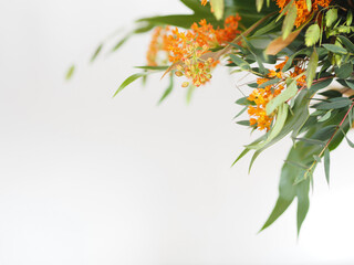 Orange flowers and greenery on white and space for text