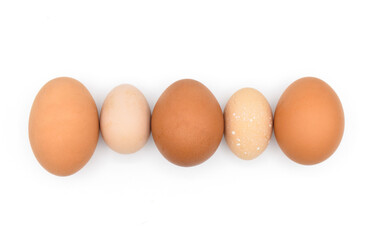 Comparing standard chicken eggs and bantam eggs.