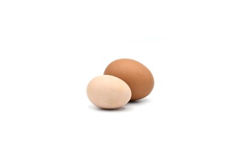 Comparing standard chicken egg and bantam egg.