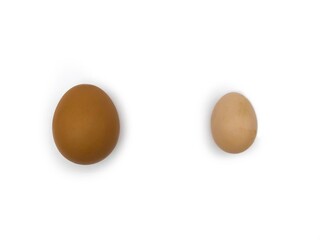 Comparing standard chicken egg and bantam egg.