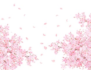 美しく華やかな満開の薄いピンク色の桜の花と花びら舞い散る春の白バックフレームベクター素材イラスト

