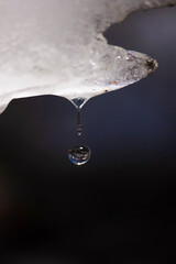 Naklejka na ściany i meble drops of water
