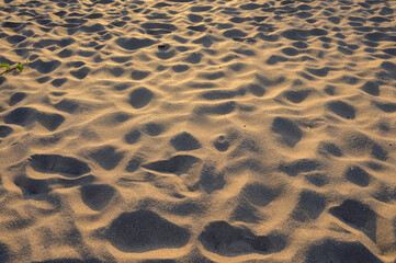 ripples in the sand beach