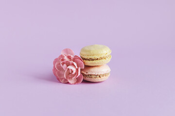 Tasty french macaroons with tender flower on a violet pastel background.