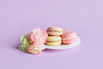 Tasty french macaroons with flowers on a white plate on a violet pastel background.