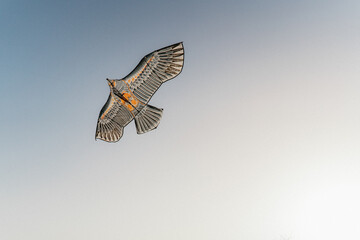 kite flying in the sky