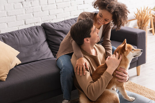 Happy interracial couple petting shiba inu and looking at each other at home