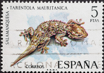 Spain - circa 1974 : a postage stamp from Spain, showing a Moorish Wall Gecko (Tarentola...