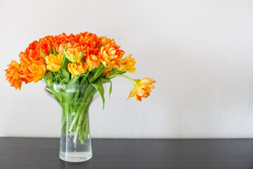 Bouquet of orange and yellow tulips in a glass vase on a grey background. Copy space. Spring holidays concept. Selective focus.