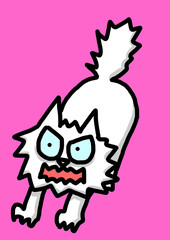 angry cat