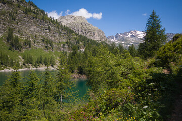 Fototapeta na wymiar Amazing view of alpine lake during sunny day of summer in Piedmont, Italy 