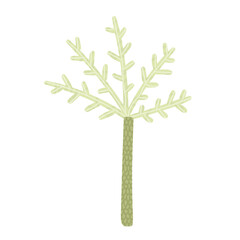 palm tree isolated on white background, childish illustration for designs and print