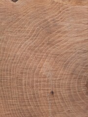 Jahresringe eines durchgeschnittenen Baumstamms