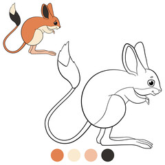 Color me: wild animals. Little cute jerboa stands and smiles.