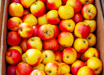 Lots of red and yellow apples in a box. Texture of round apples close up. Sale of fruit at the market and supermarket.