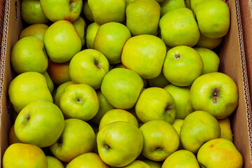 Lots of green apples in a box. Texture of round apples close up. Sale of fruit at the market and supermarket.