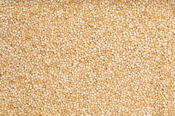 Full frame studio macro shot with top view of quinoa