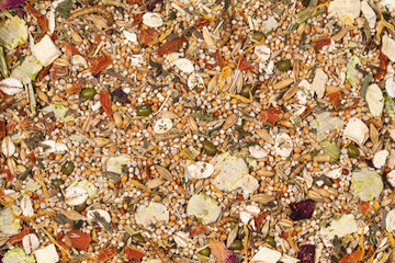 Full frame studio macro shot with top view of dry hamster food