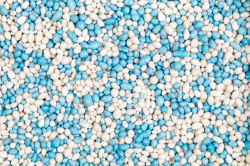 Full frame studio macro shot with top view of typical Dutch blauwe muisjes